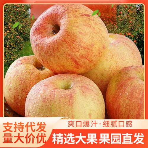 水果代理厂家,品牌,图片,热帖